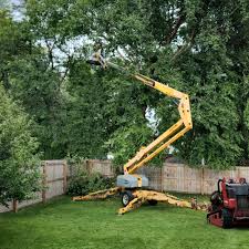 Best Tree Planting Services  in Haskell, AR